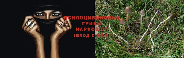 прущая мука Богородск
