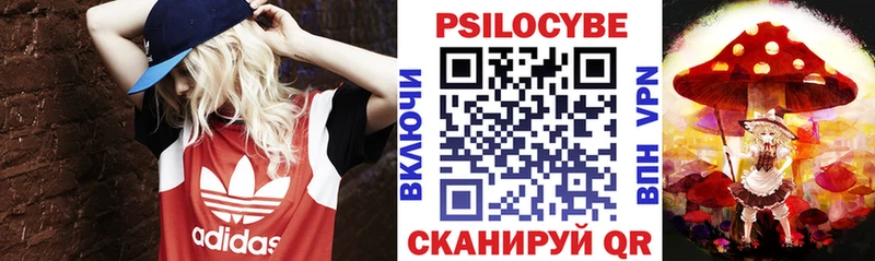 Галлюциногенные грибы GOLDEN TEACHER  купить наркотик  Вязьма 