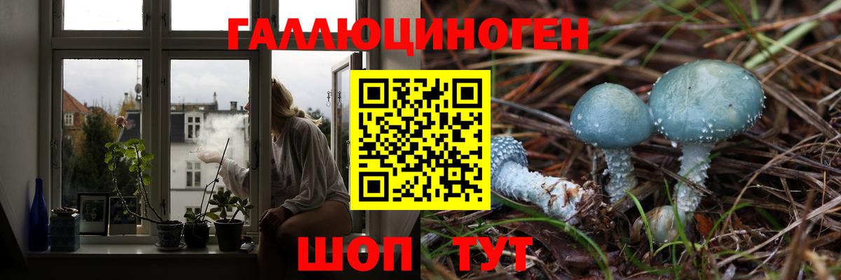 Псилоцибиновые грибы GOLDEN TEACHER Вязьма