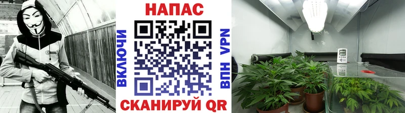 darknet состав  Вязьма  Канабис Bruce Banner 